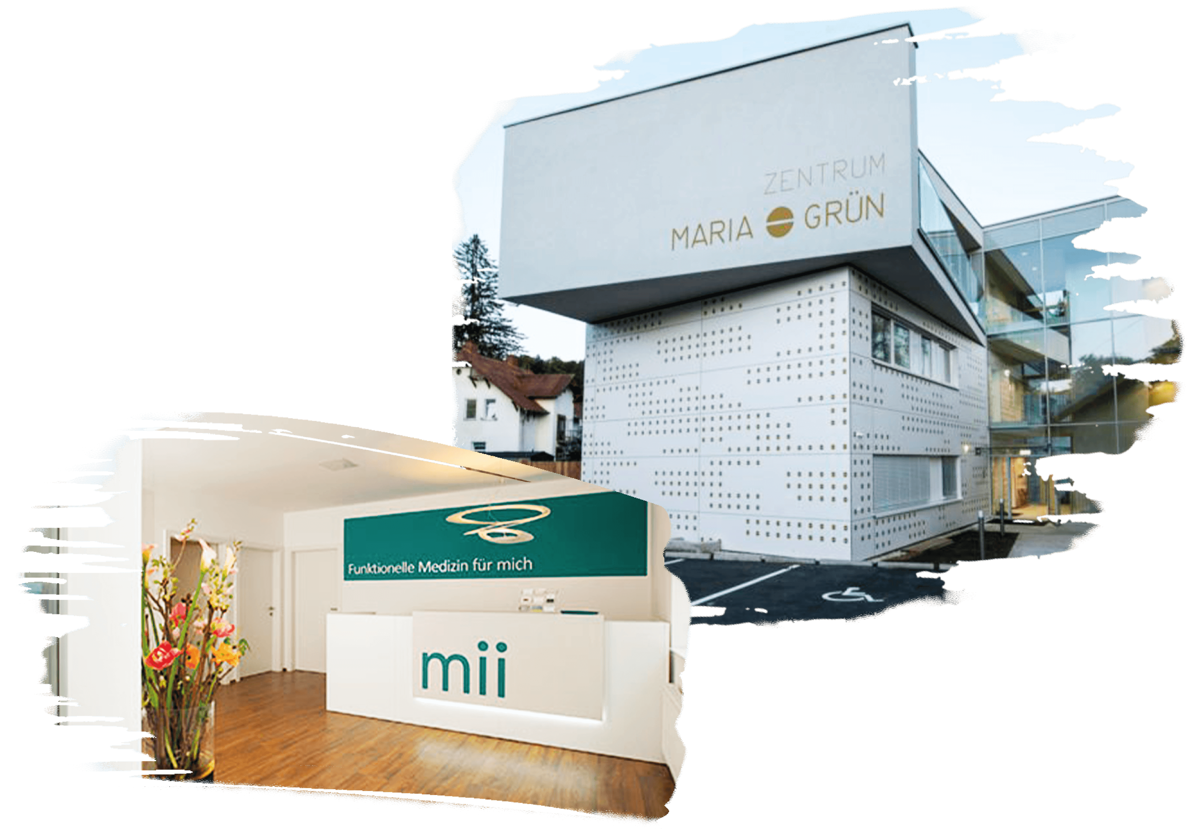 Praxis mii und Zentrum Maria Grün